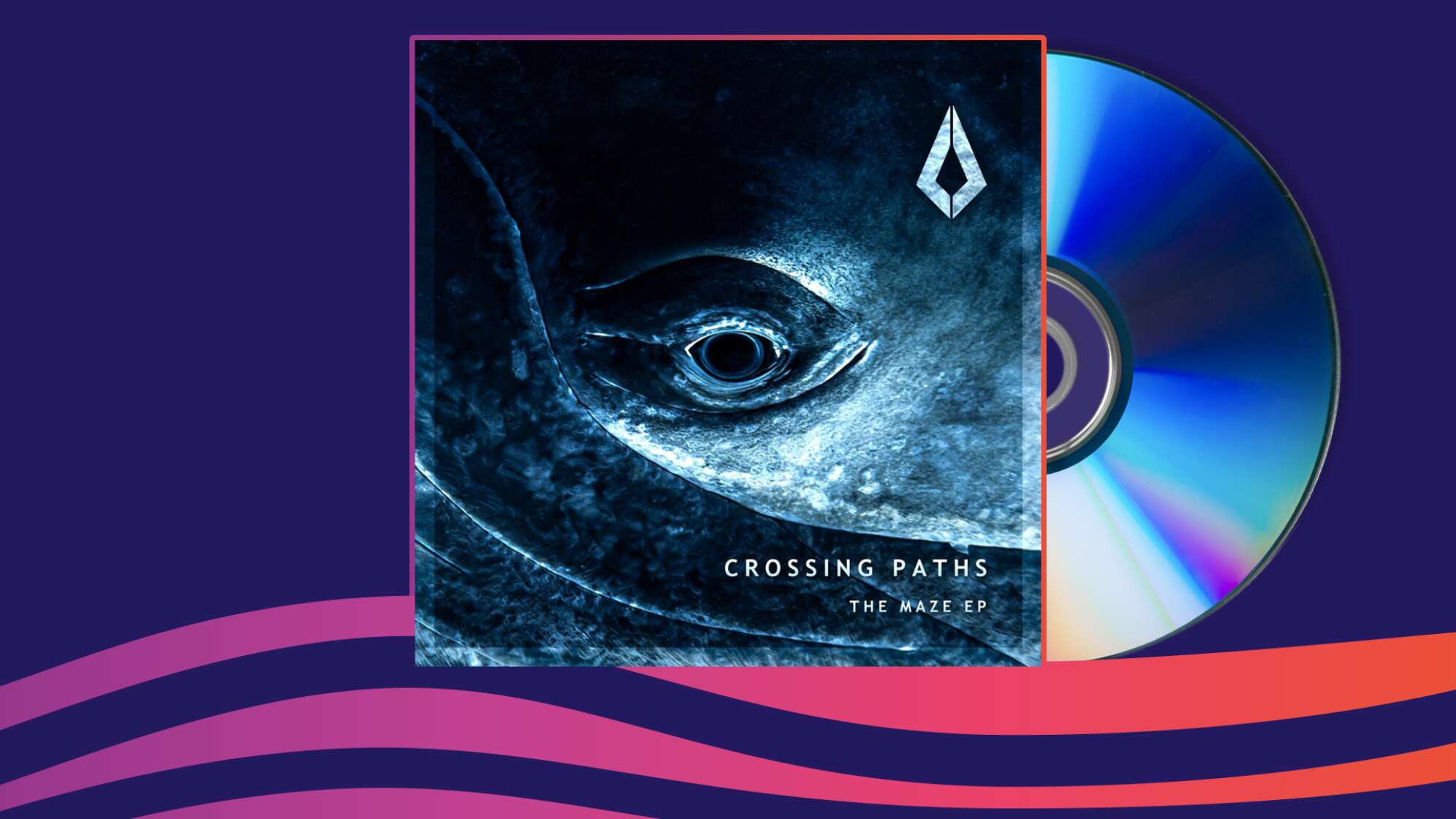 Crossing Paths - The Maze (Radio Edit) | Neuvorstellung