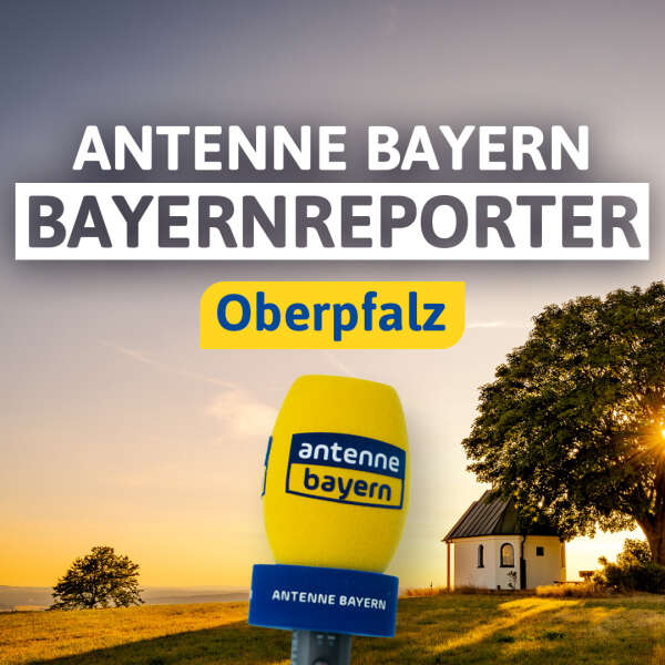 Für eine stolperfreie Altstadt: Regensburg schleift Kopfsteinpflaster ab