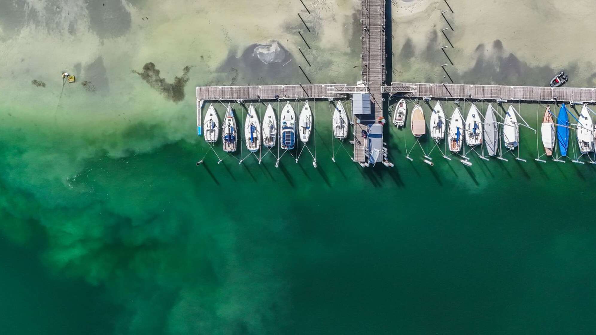 Spätsommer am Bodensee - Trockenheit