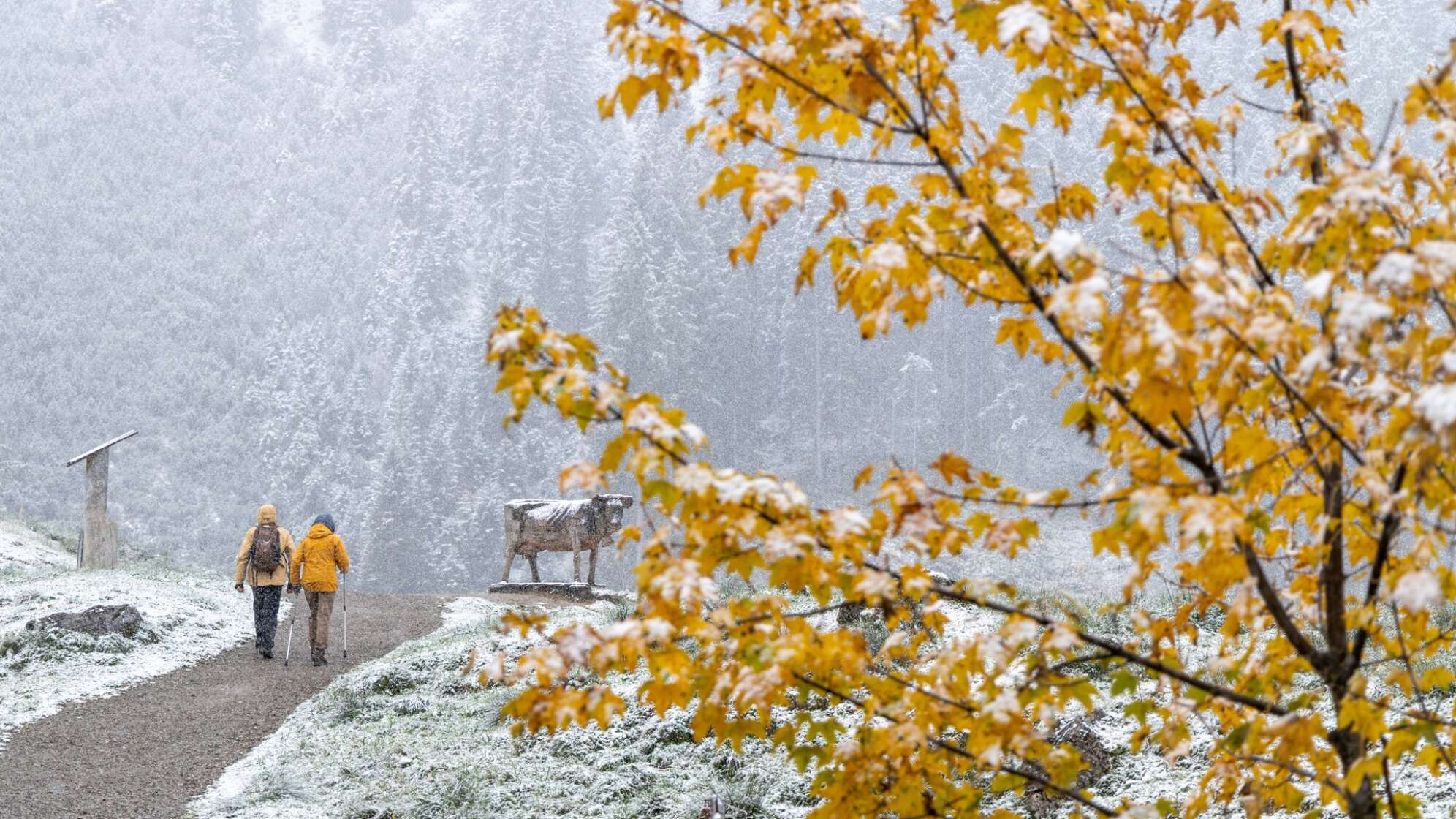 Schnee in den Allgäuer Alpen